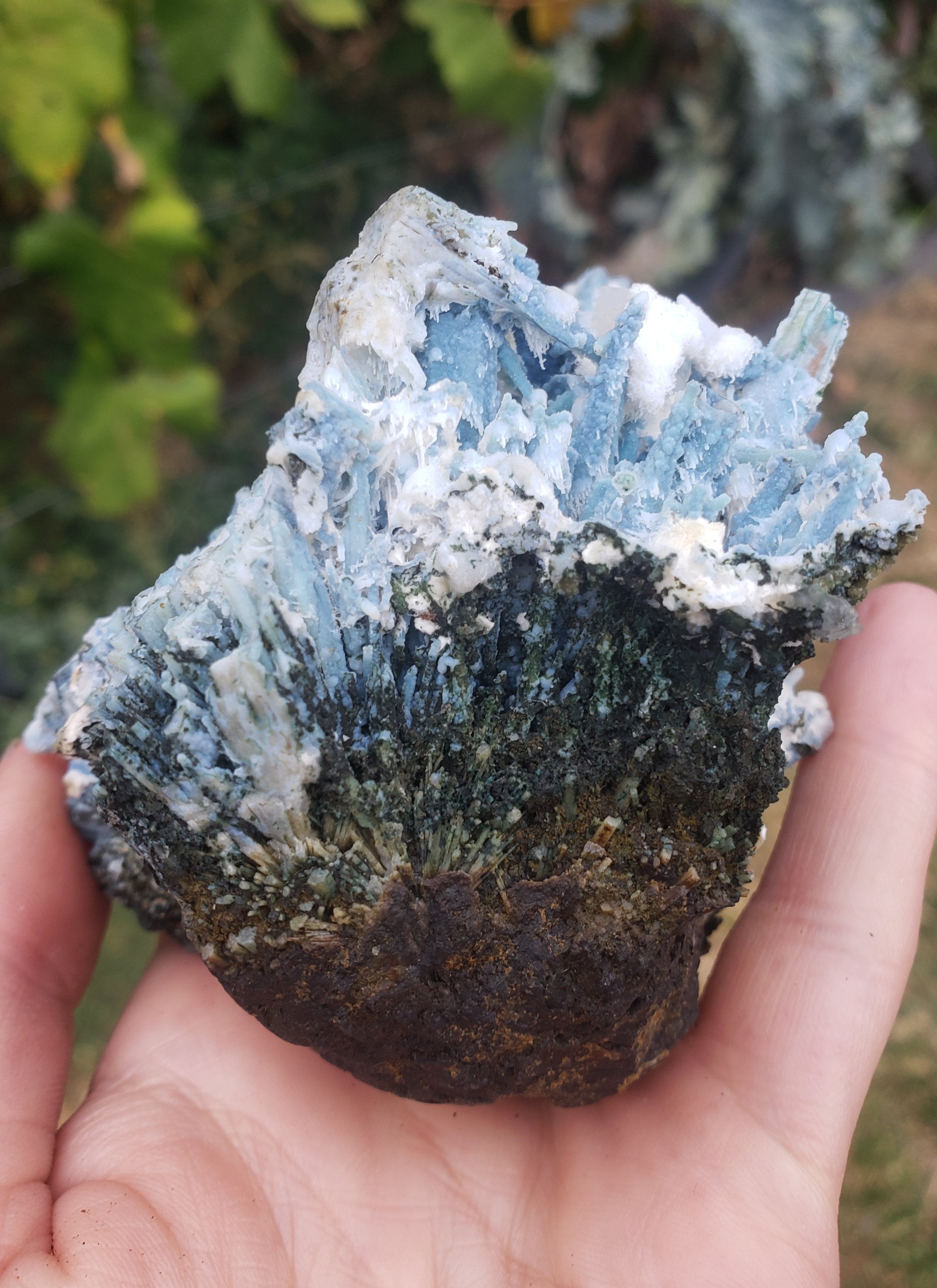 Blue coral Chalcedony covering scolocite + okenite, mordonite,  calcite