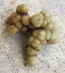 Botryoidal Agate  "Grape agate "7g