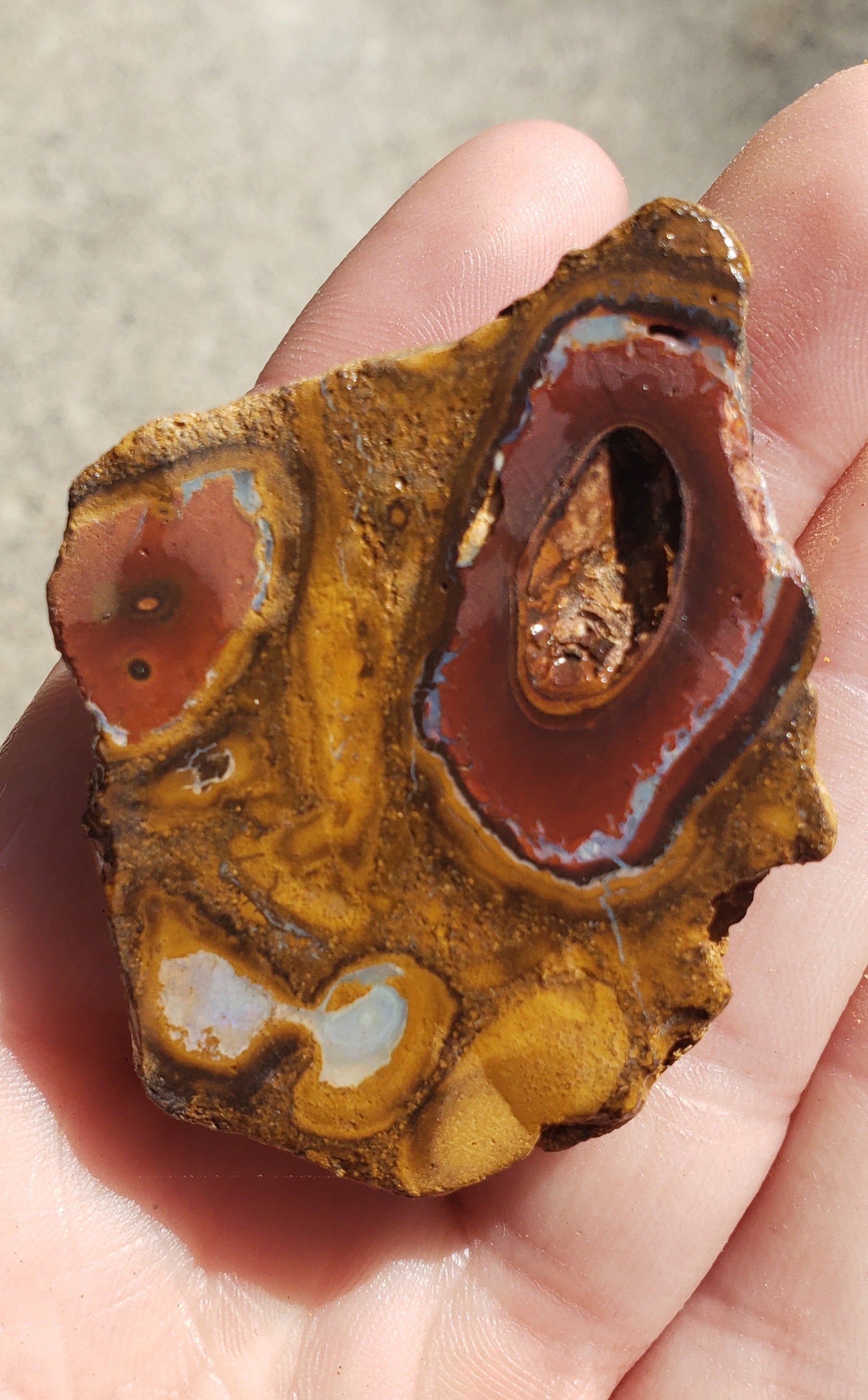 Boulder opal slice - 30 grams