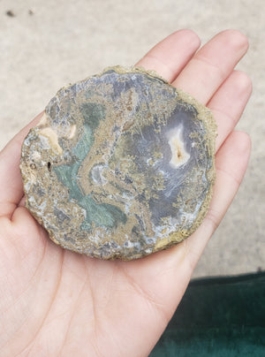 Moss Agate from indonesia -lapidory Slab / slice -86grams