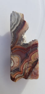 Mexican crazy lace agate freeform slice - 20grams - with druzy