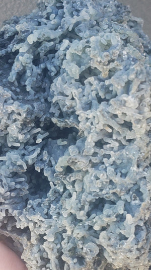 Blue Chalcedony quartz "Coral"  - huge 1.3kg
