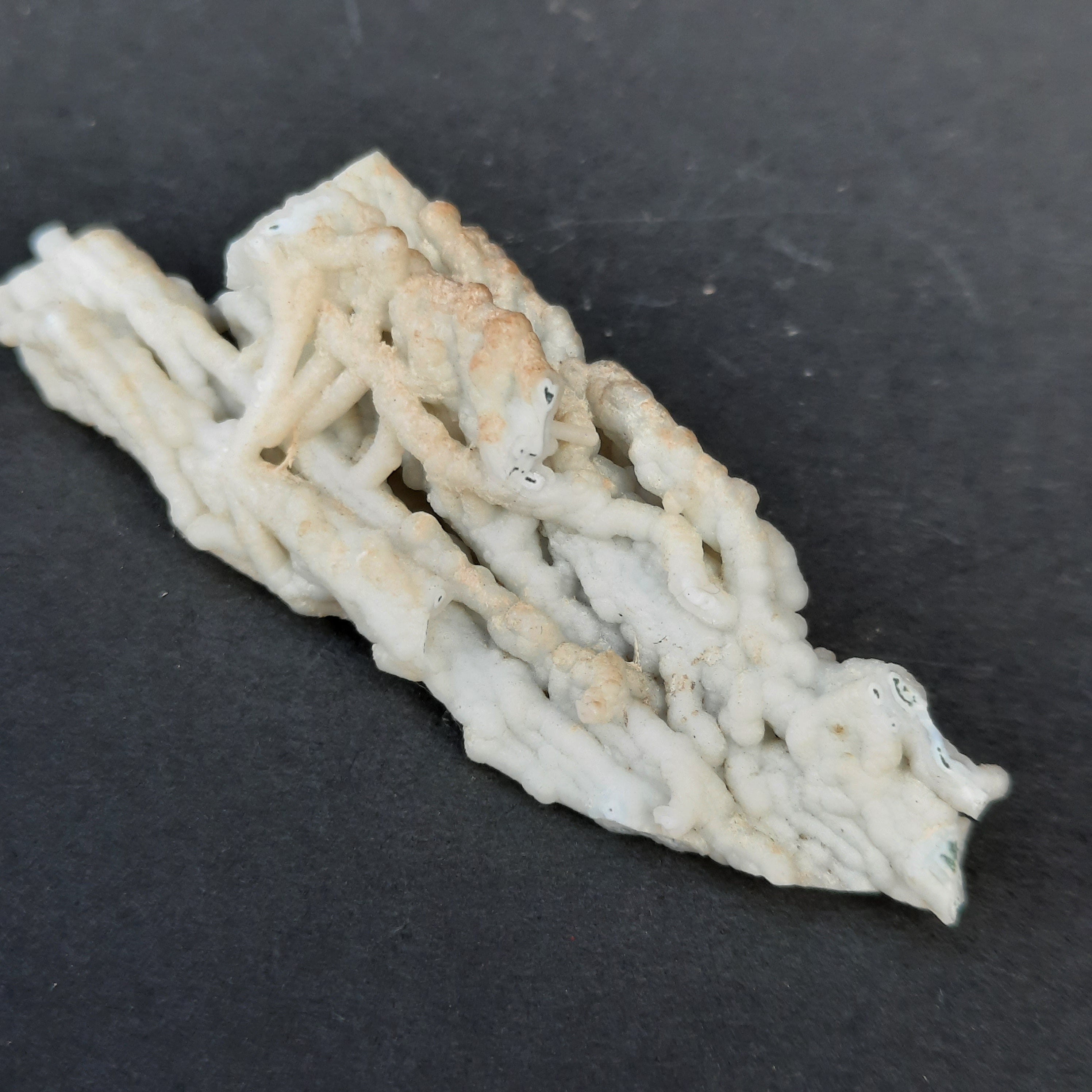 Coral chalceodony specimen